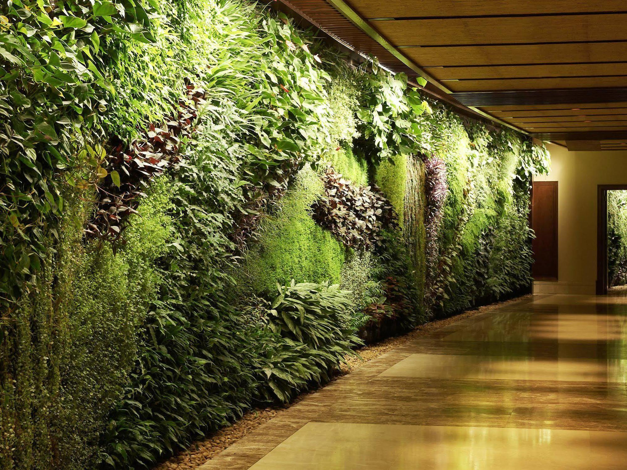 Sofitel Dubai Palm Apartments Exterior foto A living wall at the Wynn Las Vegas